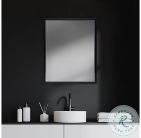 Bristol Espresso 26" x 32" Vanity Mirror
