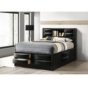 Briana Black Queen Storage Bookcase Bed