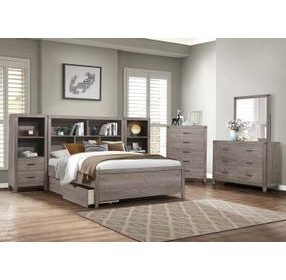 Woodrow Gray Queen Storage Wall Bed with Nightstand and Toybox