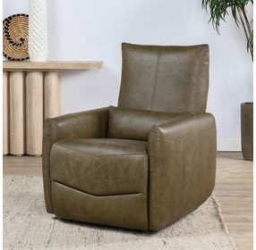 Thaya Earth Brown Leather Power Recliner with USB Charging