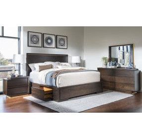 Architect Onyx Queen Storage Panel Bed with 2 Drawer and LED