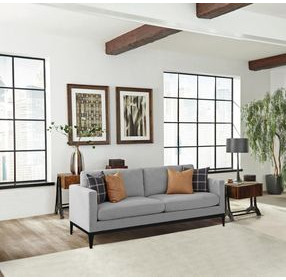 Apperson Light Gray Sofa
