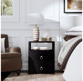 Lark Black 21" 2 Drawer Nightstand with Shelf