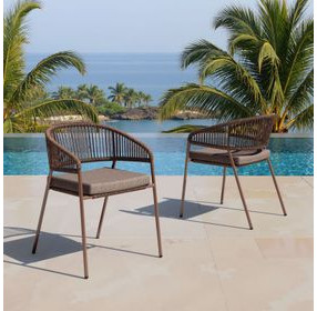Skye Brown Upholstered Outdoor Dining Chair Set of 2
