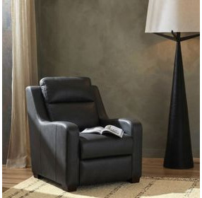 Ayden Elway Dark Gray Leather Power Recliner with Power Lumbar and USB Charging