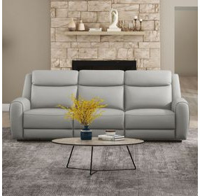 Jacobus Light Gray Manual Reclining Living Room Set