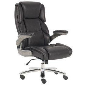 DC-313HD-OZO Ozone Desk Chair