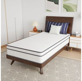 Catmint White and Gray 10" Innerspring Twin Mattress
