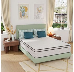 Catmint White and Gray 12" Innerspring Queen Mattress