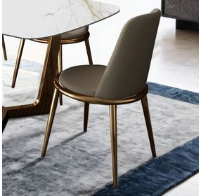 Norelli Gold and Taupe Upholstered Side Chair Set of 2