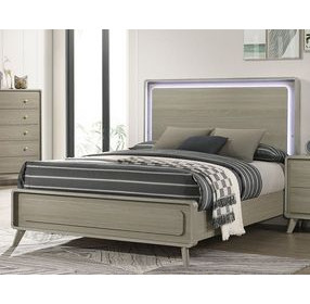 Rainier Gray Panel Bedroom Set with LED
