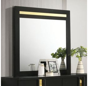 Lillestrom Black and Gold Rectangular Dresser Mirror