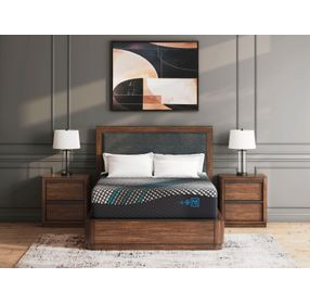 Millennium 2.0 Foam 14 Inch Black King Mattress