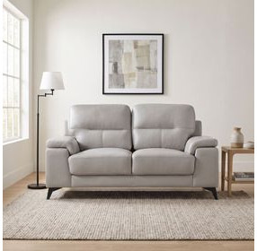 Mischa Silver Gray 67" Loveseat