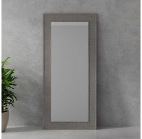 Crossings Serengeti Sandblasted Fossil Grey Floor Mirror
