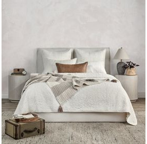 Bari Cloud Velvet Queen Quilt