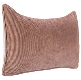 Lineage Memoir Frothed Brown Rectangular Accent Pillow Set of 2