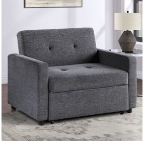 Noah Gray Chair with Twin Sleeper